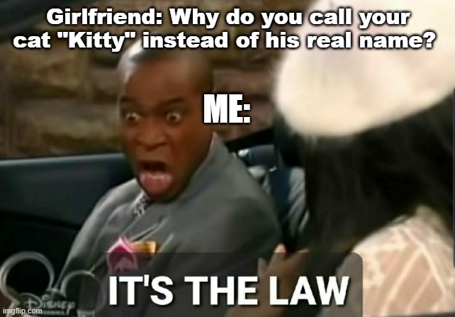 Calling your cat "Kitty" | Girlfriend: Why do you call your cat "Kitty" instead of his real name? ME: | image tagged in it's the law,funny memes | made w/ Imgflip meme maker