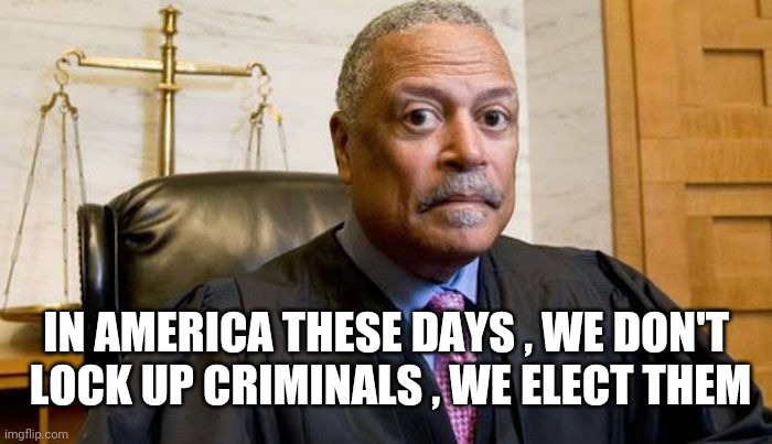 It's working out fine | IN AMERICA THESE DAYS , WE DON'T
 LOCK UP CRIMINALS , WE ELECT THEM | image tagged in judge emmet sullivan,crook,politicians suck,thief murderer,greedy | made w/ Imgflip meme maker