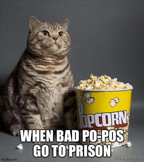 Cat eating popcorn | WHEN BAD PO-POS GO TO PRISON | image tagged in cat eating popcorn | made w/ Imgflip meme maker