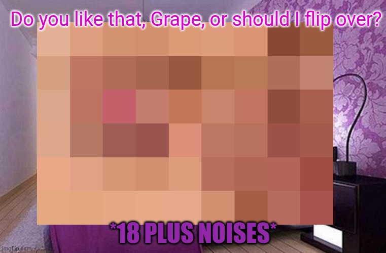 Do you like that, Grape, or should I flip over? *18 PLUS NOISES* | made w/ Imgflip meme maker