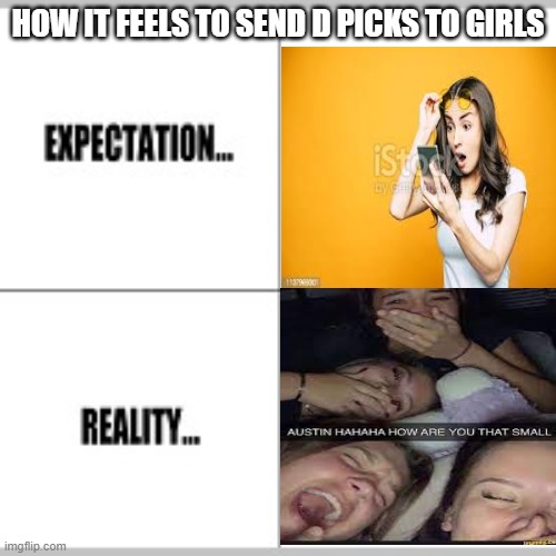 Expectation vs Reality | HOW IT FEELS TO SEND D PICKS TO GIRLS | image tagged in expectation vs reality | made w/ Imgflip meme maker