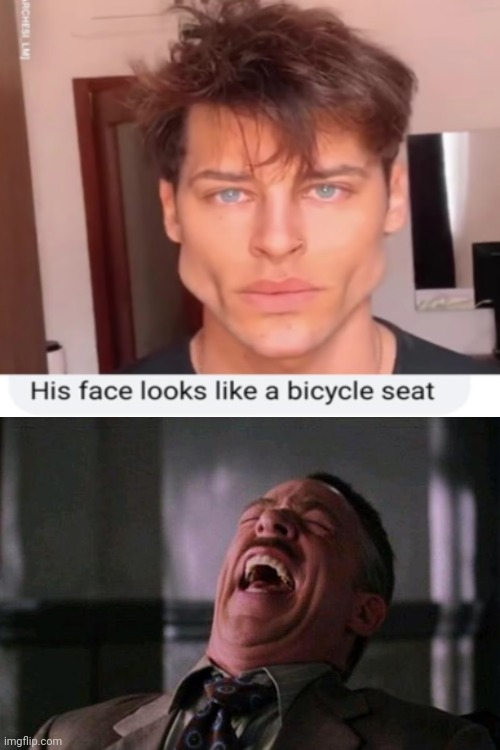 The similarity is astonishing | image tagged in bicycle,seat,funny,lol,insult | made w/ Imgflip meme maker