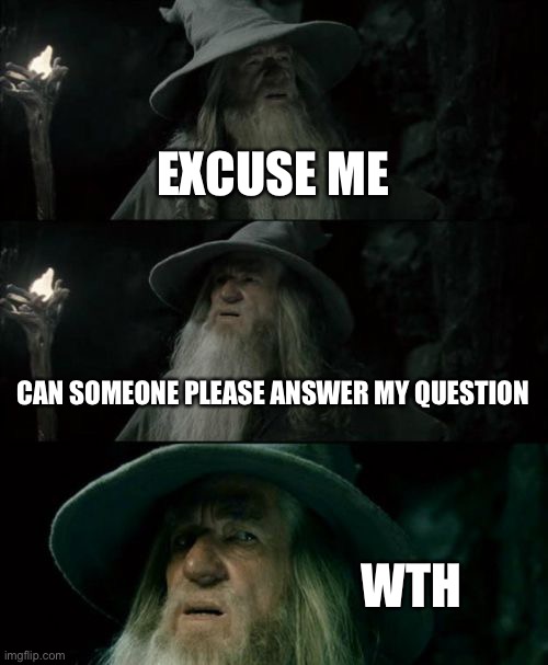 Confused Gandalf Meme | EXCUSE ME CAN SOMEONE PLEASE ANSWER MY QUESTION WTH | image tagged in memes,confused gandalf | made w/ Imgflip meme maker