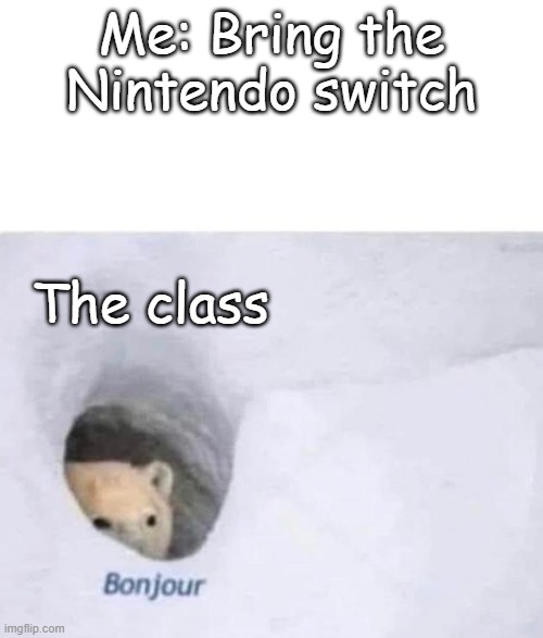 HAHA | Me: Bring the Nintendo switch; The class | image tagged in bonjour,lol so funny,funny meme | made w/ Imgflip meme maker