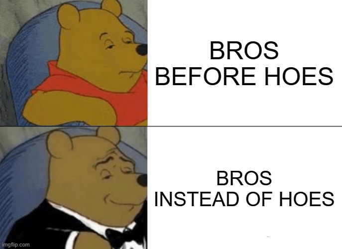 sus | BROS BEFORE HOES; BROS INSTEAD OF HOES | image tagged in memes,tuxedo winnie the pooh | made w/ Imgflip meme maker