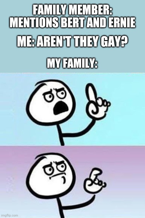 Bert And Ernie Were The First Representation Of My Childhood | FAMILY MEMBER: MENTIONS BERT AND ERNIE; ME: AREN'T THEY GAY? MY FAMILY: | image tagged in good point | made w/ Imgflip meme maker