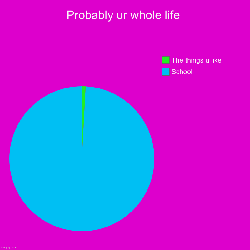 Probably ur whole life | School, The things u like | image tagged in charts,pie charts | made w/ Imgflip chart maker