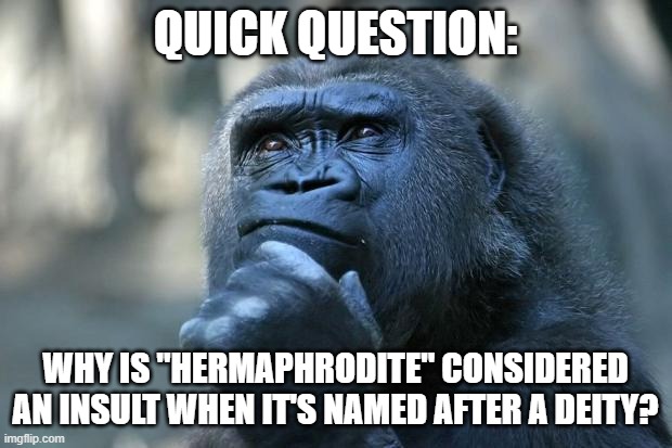 I mean, I'd love it if my gender's was named after a deity (oh wait, it is xD (Pan))! Deities are awesome! | QUICK QUESTION:; WHY IS "HERMAPHRODITE" CONSIDERED AN INSULT WHEN IT'S NAMED AFTER A DEITY? | image tagged in deep thoughts,deity,lgbt,deities,memes | made w/ Imgflip meme maker