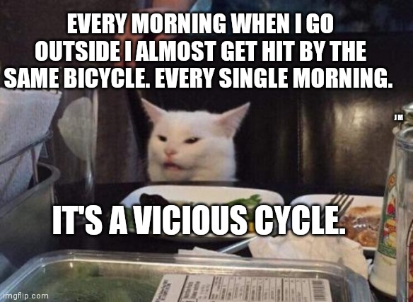 Salad cat | EVERY MORNING WHEN I GO OUTSIDE I ALMOST GET HIT BY THE SAME BICYCLE. EVERY SINGLE MORNING. J M; IT'S A VICIOUS CYCLE. | image tagged in salad cat | made w/ Imgflip meme maker