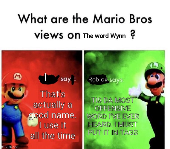 I have no idea why Roblox put the word "Wynn" in tags |  The word Wynn; Roblox; I; That's actually a good name. I use it all the time; TIS DA MOST OFFENSIVE WORD I'VE EVER HEARD. I MUST PUT IT IN TAGS | image tagged in mario bros views,roblox,bruh | made w/ Imgflip meme maker
