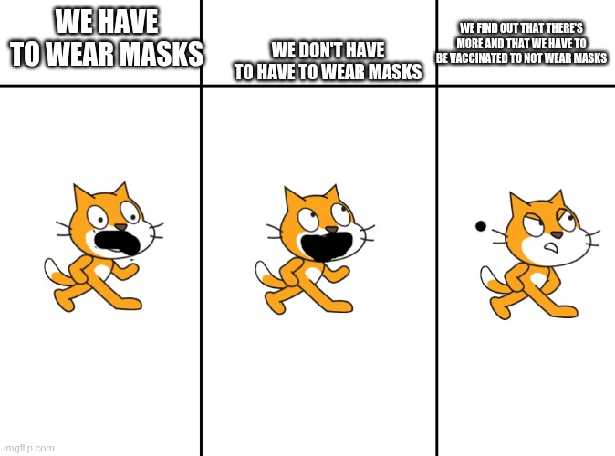 OH COME ON! | WE DON'T HAVE TO HAVE TO WEAR MASKS; WE HAVE TO WEAR MASKS; WE FIND OUT THAT THERE'S MORE AND THAT WE HAVE TO BE VACCINATED TO NOT WEAR MASKS | image tagged in scratch cat meme | made w/ Imgflip meme maker