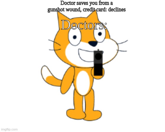 Credit card declines | Doctor saves you from a gunshot wound, credit card: declines; Doctors: | image tagged in scratch cat gun,doctors,credit card declines | made w/ Imgflip meme maker