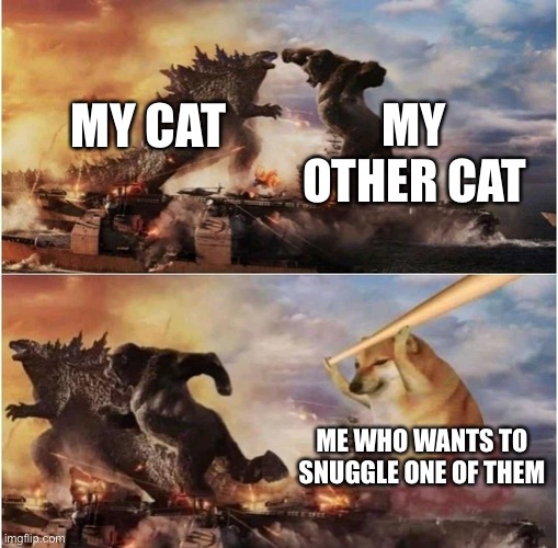 Why do my cats run away from me QwQ | MY OTHER CAT; MY CAT; ME WHO WANTS TO SNUGGLE ONE OF THEM | image tagged in kong godzilla doge | made w/ Imgflip meme maker