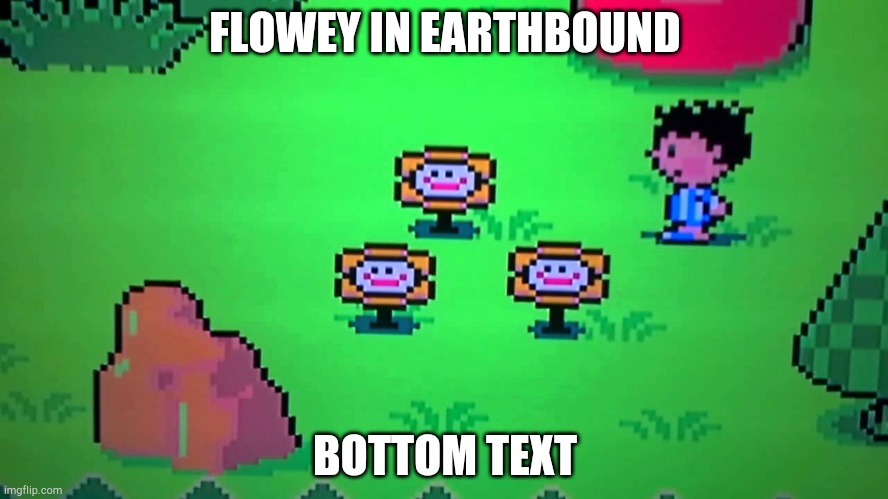 E | FLOWEY IN EARTHBOUND; BOTTOM TEXT | image tagged in flowey in earthbound | made w/ Imgflip meme maker