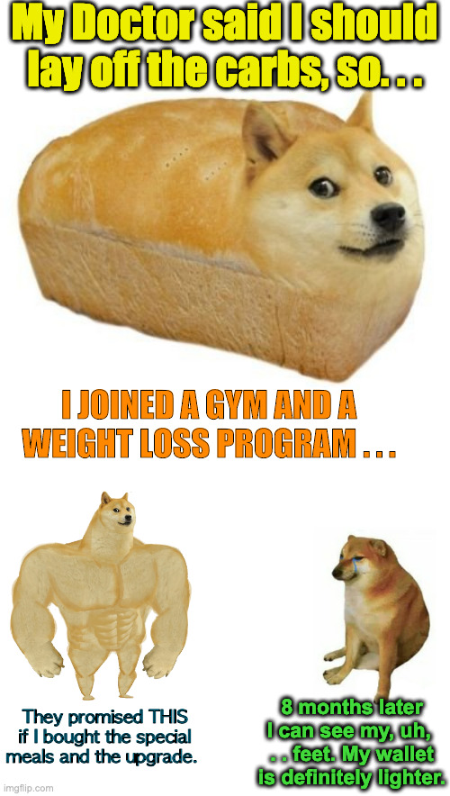 what they promised | My Doctor said I should lay off the carbs, so. . . I JOINED A GYM AND A WEIGHT LOSS PROGRAM . . . They promised THIS if I bought the special meals and the upgrade. 8 months later I can see my, uh,  . . feet. My wallet is definitely lighter. | image tagged in memes,buff doge vs cheems | made w/ Imgflip meme maker