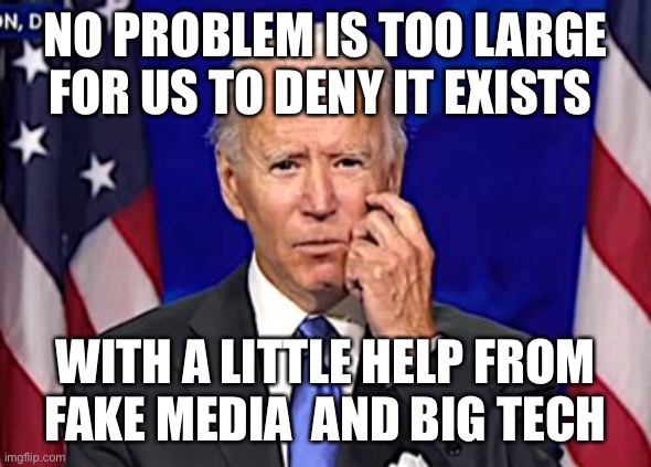 Denial of a problem, can still get Democrat votes | NO PROBLEM IS TOO LARGE FOR US TO DENY IT EXISTS; WITH A LITTLE HELP FROM FAKE MEDIA  AND BIG TECH | image tagged in forgetful joe,democrats,incompetence,losers,biden | made w/ Imgflip meme maker