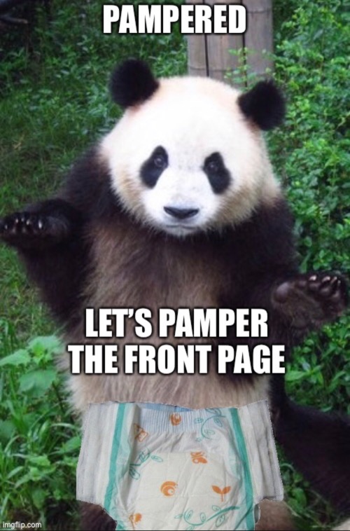 Get pampered upvote and share share share | image tagged in front page,panda,diapers,memes | made w/ Imgflip meme maker
