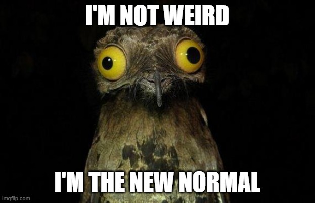 The New Normal |  I'M NOT WEIRD; I'M THE NEW NORMAL | image tagged in memes,weird stuff i do potoo | made w/ Imgflip meme maker