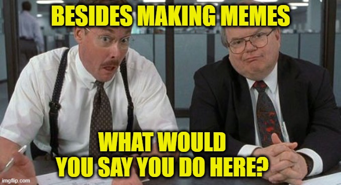 Desk Audit | BESIDES MAKING MEMES; WHAT WOULD YOU SAY YOU DO HERE? | image tagged in memes,the bobs | made w/ Imgflip meme maker