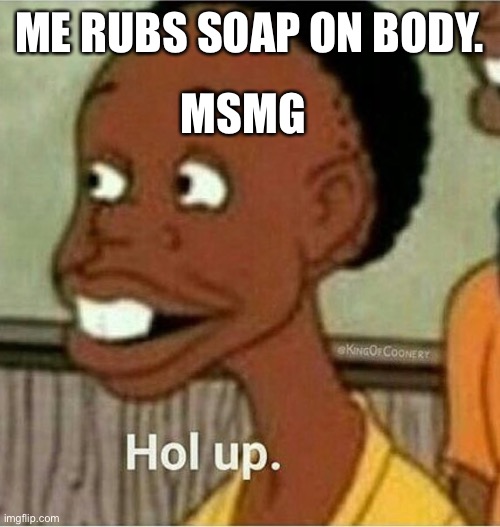 Hol up there | MSMG; ME RUBS SOAP ON BODY. | image tagged in hol up | made w/ Imgflip meme maker