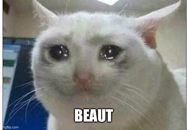 crying cat | BEAUTIFUL | image tagged in crying cat | made w/ Imgflip meme maker