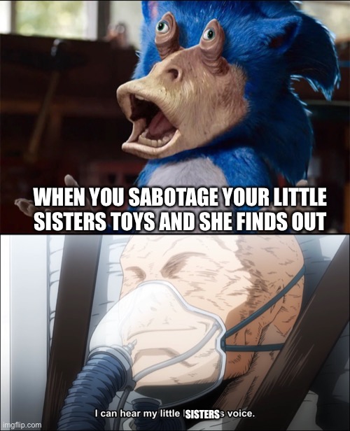 #sabotaging your sister | WHEN YOU SABOTAGE YOUR LITTLE SISTERS TOYS AND SHE FINDS OUT; SISTERS | image tagged in i hear my little brothers voice all for one,mha,memes | made w/ Imgflip meme maker