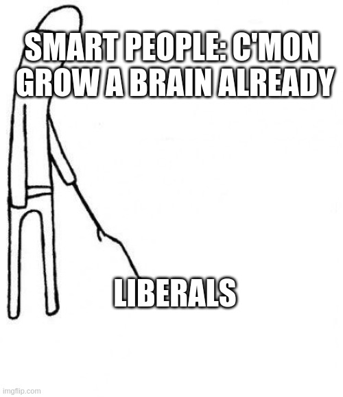 Liberals |  SMART PEOPLE: C'MON 
GROW A BRAIN ALREADY; LIBERALS | image tagged in c'mon do something | made w/ Imgflip meme maker