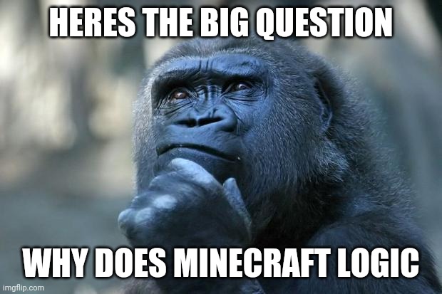 Why does minecraft logic | HERES THE BIG QUESTION; WHY DOES MINECRAFT LOGIC | image tagged in deep thoughts | made w/ Imgflip meme maker