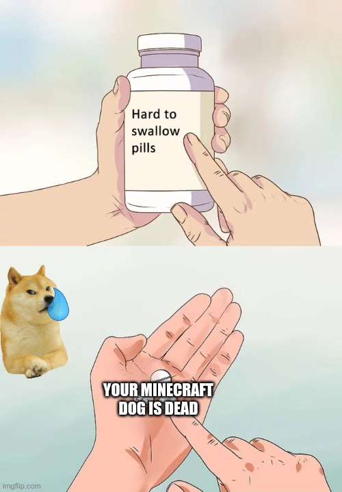 :( | YOUR MINECRAFT DOG IS DEAD | image tagged in memes,hard to swallow pills | made w/ Imgflip meme maker