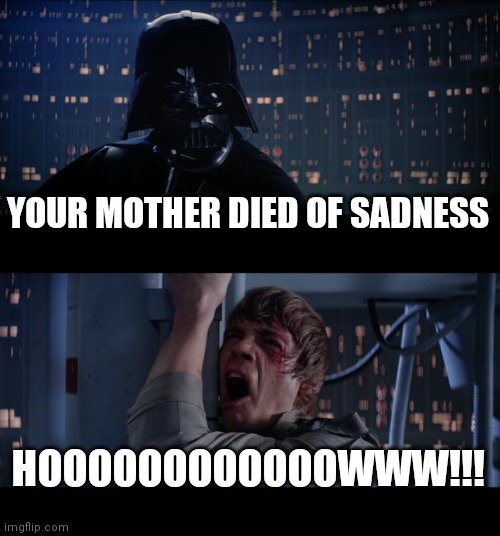 Star Wars No Meme | YOUR MOTHER DIED OF SADNESS; HOOOOOOOOOOOOWWW!!! | image tagged in memes,star wars no,star wars,darth vader,luke skywalker | made w/ Imgflip meme maker