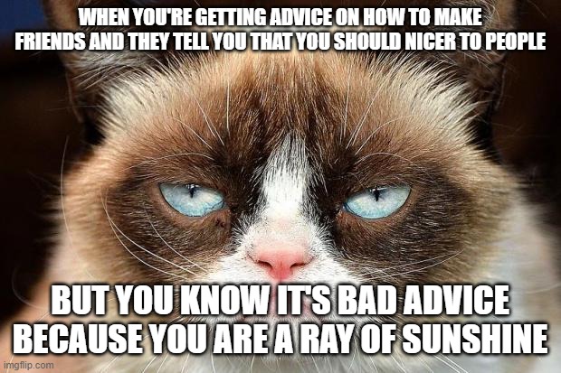 Grumpy Cat Not Amused | WHEN YOU'RE GETTING ADVICE ON HOW TO MAKE FRIENDS AND THEY TELL YOU THAT YOU SHOULD NICER TO PEOPLE; BUT YOU KNOW IT'S BAD ADVICE BECAUSE YOU ARE A RAY OF SUNSHINE | image tagged in memes,grumpy cat not amused,grumpy cat | made w/ Imgflip meme maker