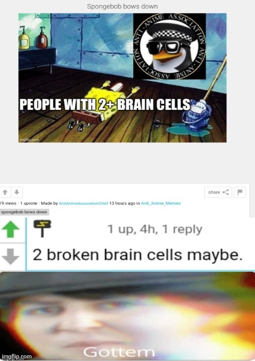 Yes, that is true. People that is allied with the AAA have two broken brain cells. | image tagged in gottem | made w/ Imgflip meme maker