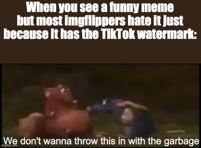 Not with the garbage | When you see a funny meme but most imgflippers hate it just because it has the TikTok watermark: | image tagged in not with the garbage | made w/ Imgflip meme maker