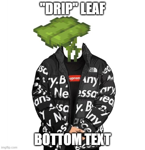 drip leaf. hahaha. get it? | "DRIP" LEAF; BOTTOM TEXT | image tagged in minecraft,drip,minecraft memes | made w/ Imgflip meme maker