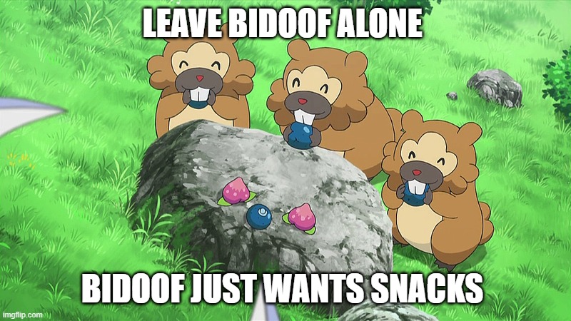 LEAVE BIDOOF ALONE | LEAVE BIDOOF ALONE; BIDOOF JUST WANTS SNACKS | image tagged in pokemon,pokemon go,snacks | made w/ Imgflip meme maker