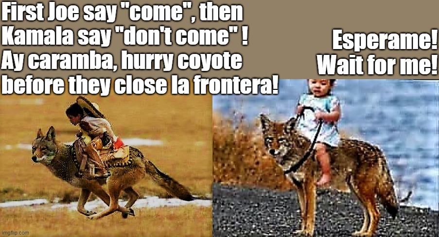 coyote carrying kid to the border | First Joe say "come", then
Kamala say "don't come" !
Ay caramba, hurry coyote
before they close la frontera! Esperame!
Wait for me! | image tagged in political humor,illegal immigration,joe biden,kamala harris,coyote,kids | made w/ Imgflip meme maker