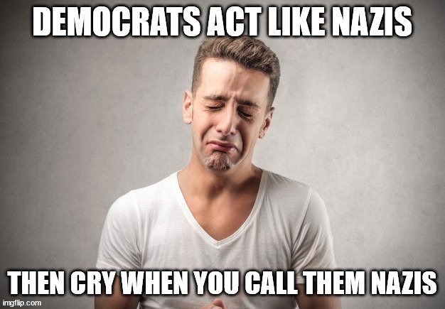 Democrat Nazi | image tagged in democrats,nazi | made w/ Imgflip meme maker