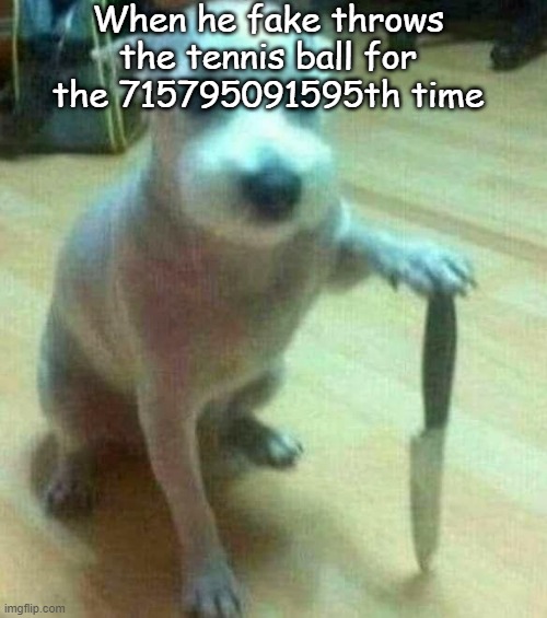 Rise up fellow dogs | When he fake throws the tennis ball for the 715795091595th time | image tagged in dog with knife | made w/ Imgflip meme maker