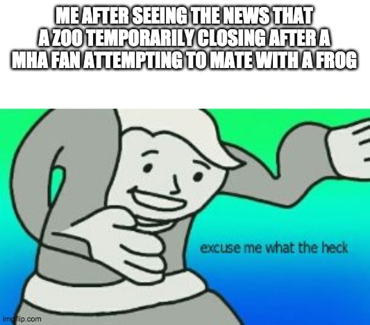 Excuse Me What The Heck | ME AFTER SEEING THE NEWS THAT A ZOO TEMPORARILY CLOSING AFTER A MHA FAN ATTEMPTING TO MATE WITH A FROG | image tagged in excuse me what the heck | made w/ Imgflip meme maker