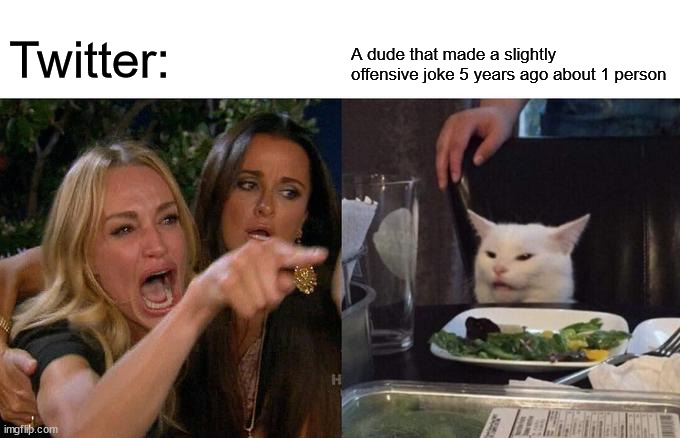AHHHHHHHH YOU MENTION SOMETHING AHHHHHHHH |  Twitter:; A dude that made a slightly offensive joke 5 years ago about 1 person | image tagged in memes,woman yelling at cat,twitter,why tho,cry baby,cry | made w/ Imgflip meme maker