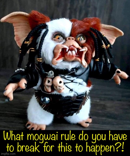 What mogwai rule do you have to break for this to happen?! | image tagged in 1980s | made w/ Imgflip meme maker