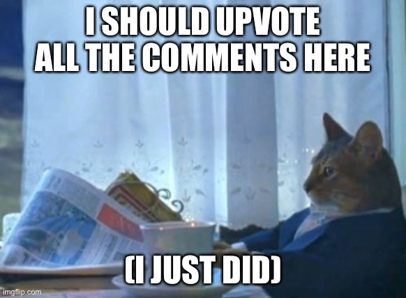 Comments on imgflip | I SHOULD UPVOTE ALL THE COMMENTS HERE; (I JUST DID) | image tagged in memes,i should buy a boat cat,comments | made w/ Imgflip meme maker
