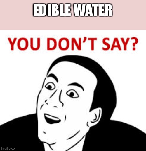 You don’t say  | EDIBLE WATER | image tagged in you don t say | made w/ Imgflip meme maker