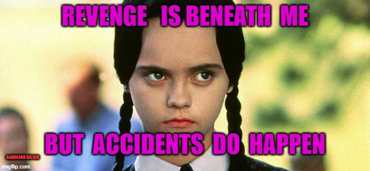 Happy Wednesday thoughts | REVENGE   IS BENEATH  ME; BUT  ACCIDENTS  DO  HAPPEN; AARDVARK RATNIK | image tagged in wednesday addams,funny memes | made w/ Imgflip meme maker