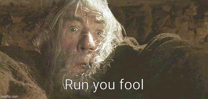 Gandalf Fly You Fools | Run you fool | image tagged in gandalf fly you fools | made w/ Imgflip meme maker
