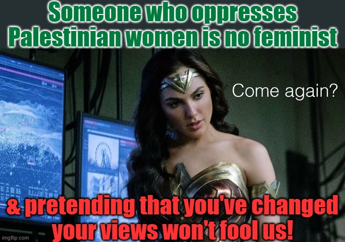 Gal Gadot is the enemy of Native People. | Someone who oppresses Palestinian women is no feminist; & pretending that you've changed
your views won't fool us! | image tagged in wonder woman justice league come again,oppression,israel,racism,public relations | made w/ Imgflip meme maker