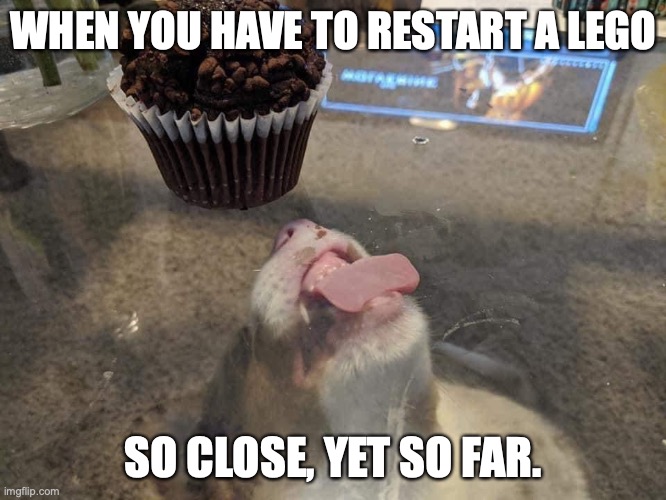 so close yet so far dog | WHEN YOU HAVE TO RESTART A LEGO; SO CLOSE, YET SO FAR. | image tagged in so close yet so far dog | made w/ Imgflip meme maker