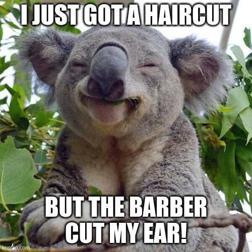 I could sue! | I JUST GOT A HAIRCUT; BUT THE BARBER CUT MY EAR! | image tagged in smiling koala,funny,memes,barber,ear,cut | made w/ Imgflip meme maker