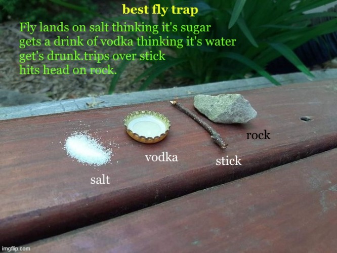 best fly trap ever | image tagged in fly trap,best,kewlew | made w/ Imgflip meme maker