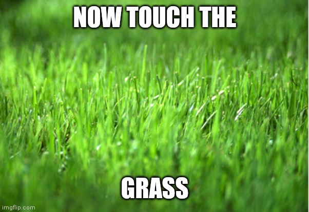 grass is greener | NOW TOUCH THE GRASS | image tagged in grass is greener | made w/ Imgflip meme maker